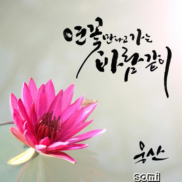 Image Cover
